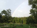 The pot of gold is at Green Gate Farm!