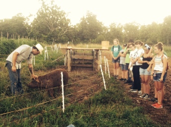A 4-H group meeting the pigs and listening to Lars talk about why we pasture our animals