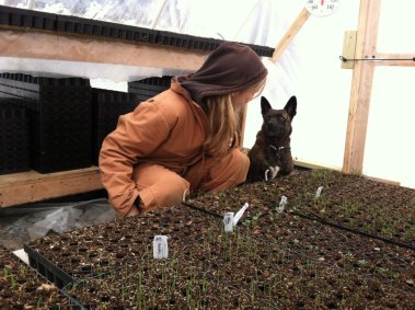 Leslie and Roscoe checkin' on the onion sprouts.