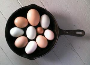 Our beautiful eggs range in size and color because we have a mixed-breed laying flock.